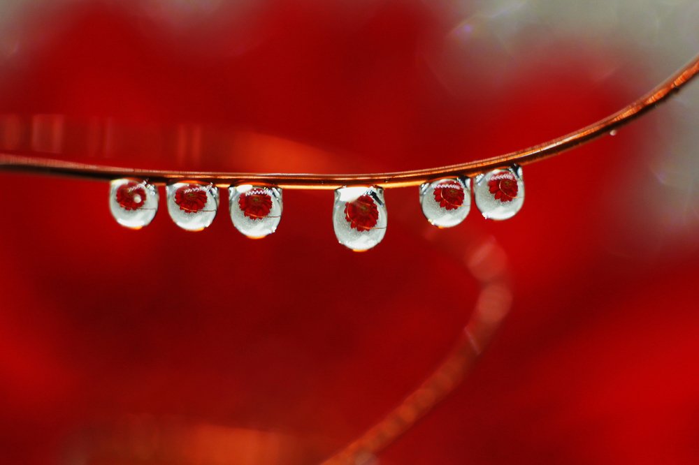 Мгновение до...