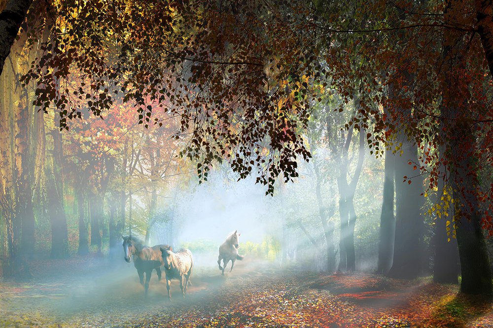 Осенняя тройка