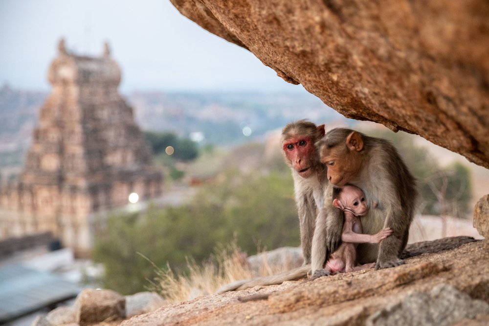 Family from sacred Matanga Hill