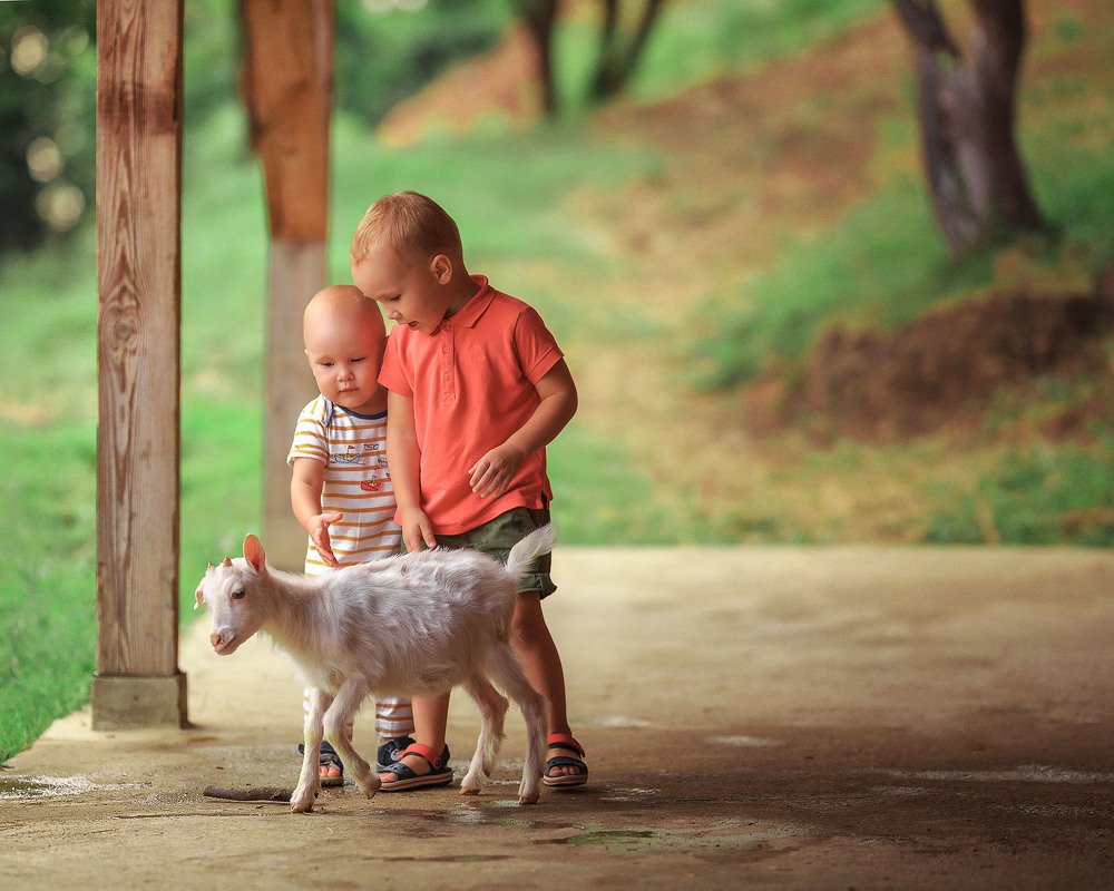 поездка на ферму