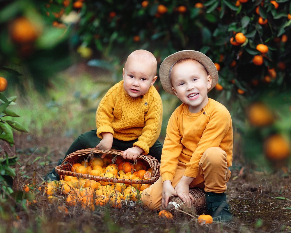 Мандариновый сад