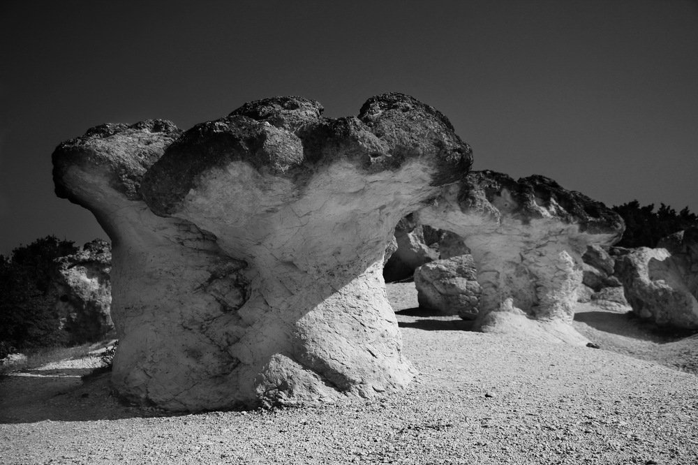 Каменные грибы