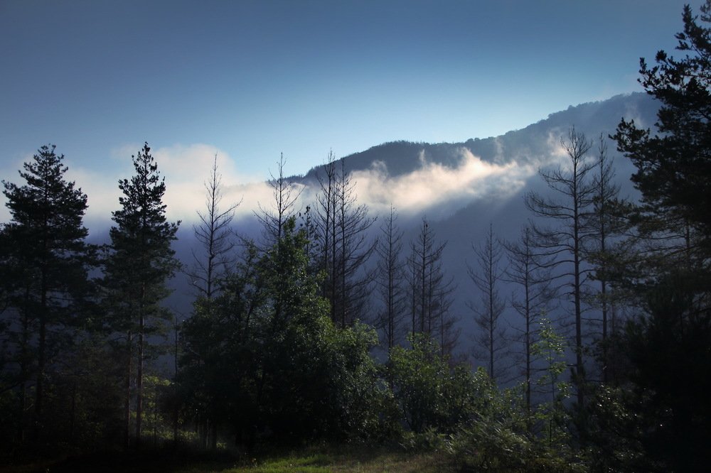 Photograph by Сергей Ладыгин