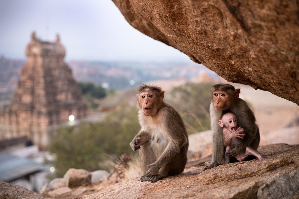Family from sacred Matanga Hill