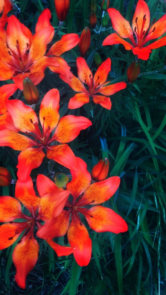 Photograph by Виктория