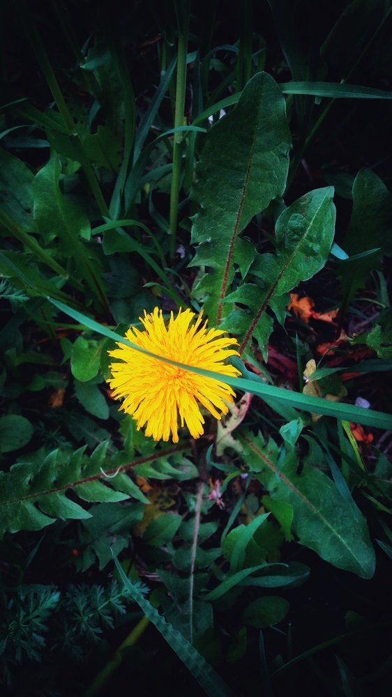 Photograph by Виктория