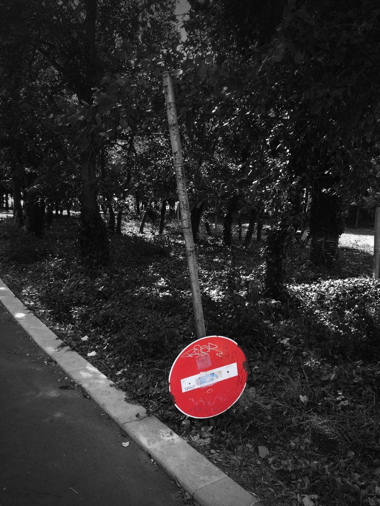 Photograph by Сергей Ладыгин