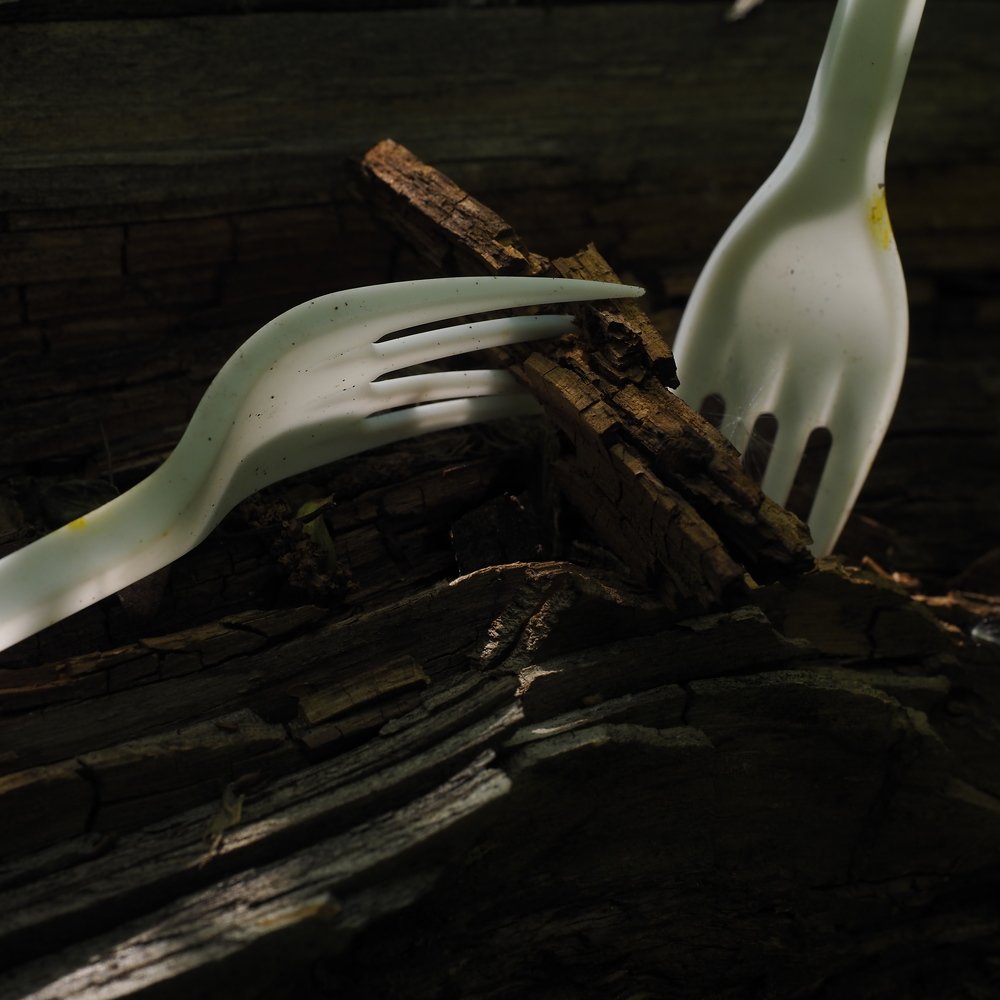 В пластиковом мире