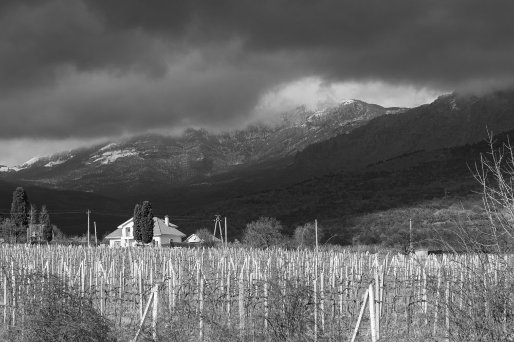 Наедине с природой