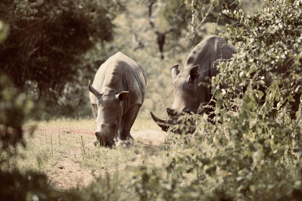 Совсем малыш