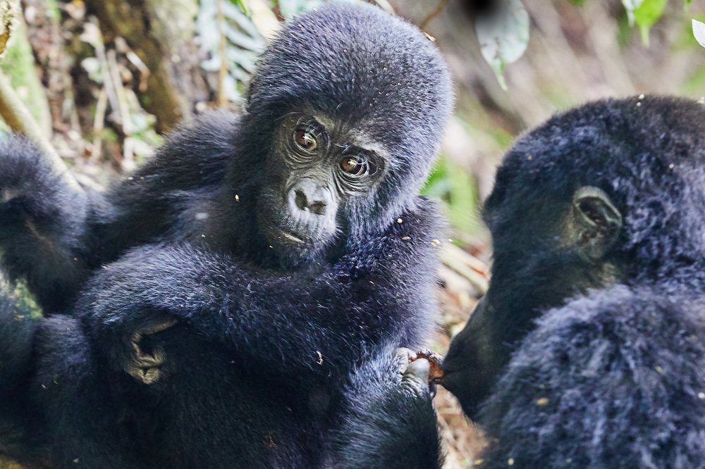 Photograph by Наталья Филькина