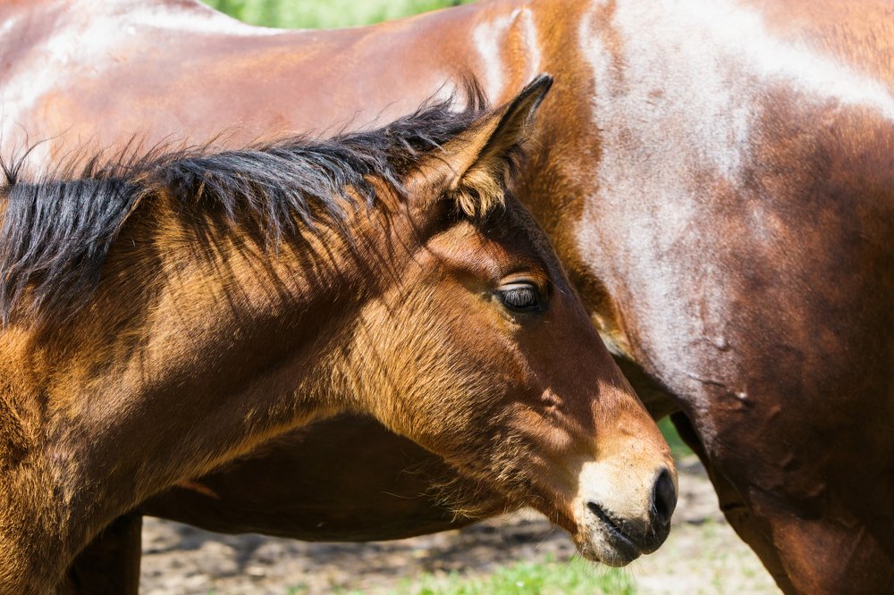 Фотография автора Андрей Серый