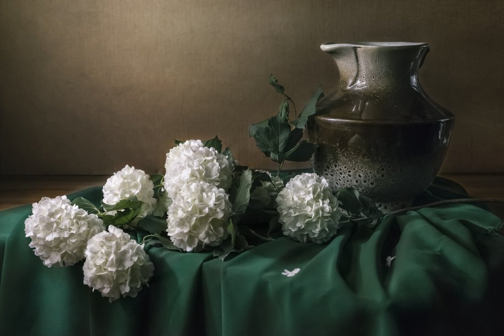 Калина бульдонеж и кувшин