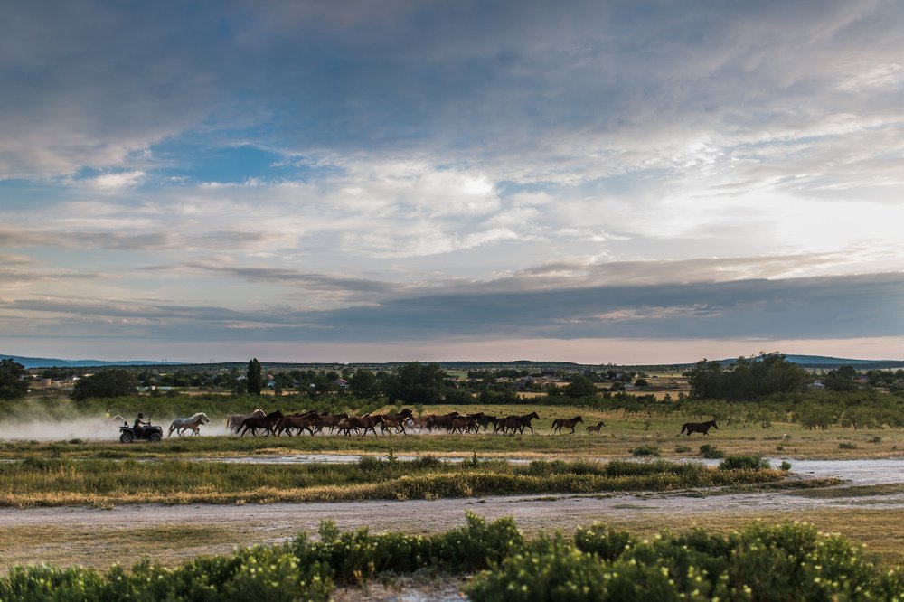 Photograph by Анастасия Герасимова