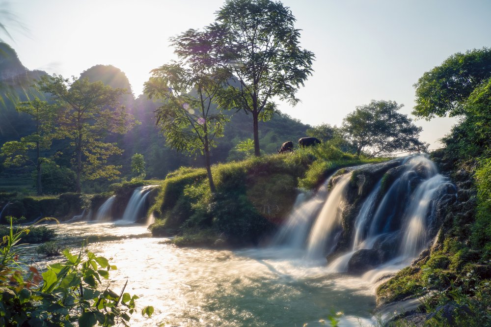Photograph by Trần Hà