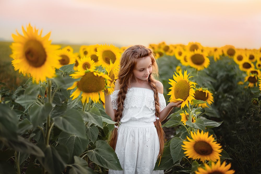 Золото лета