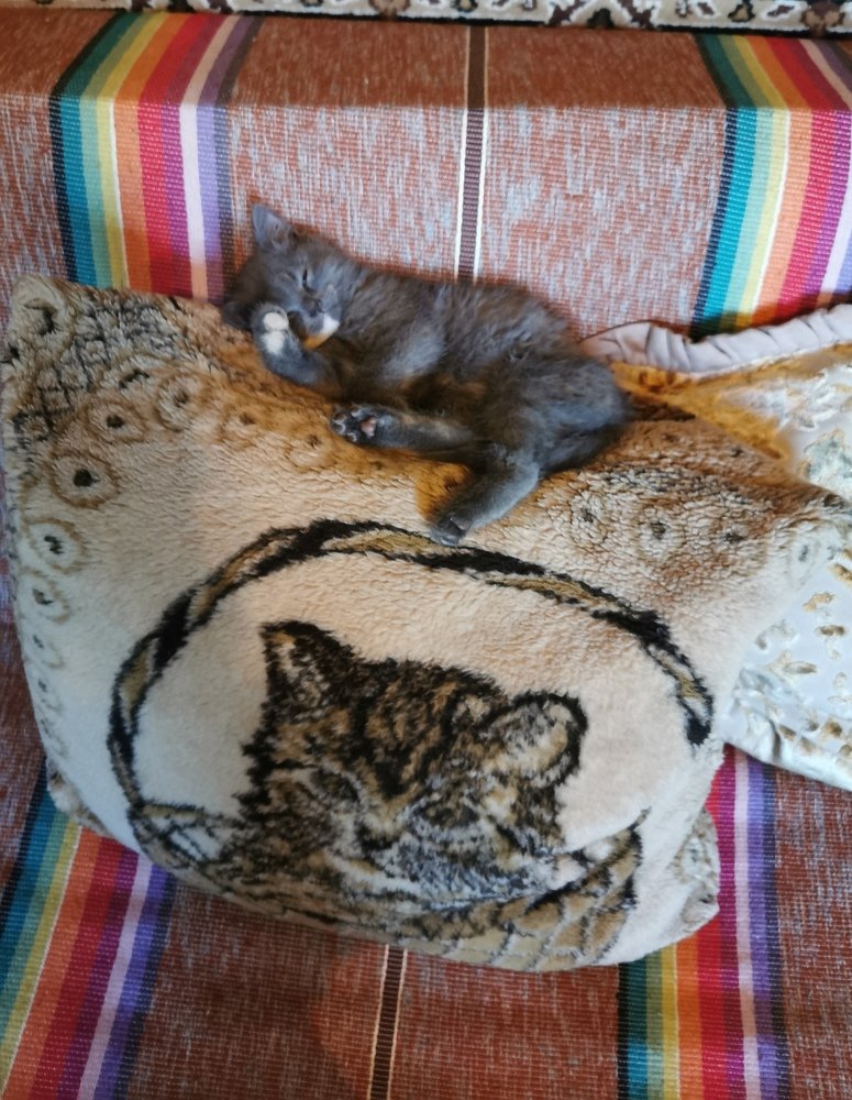 Photograph by Рутковская Жанна