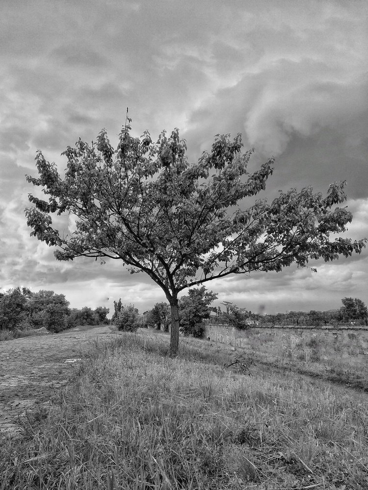 Photograph by Максим Пинчук