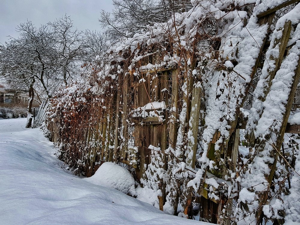 Photograph by Marcin Sokolowski - maarew