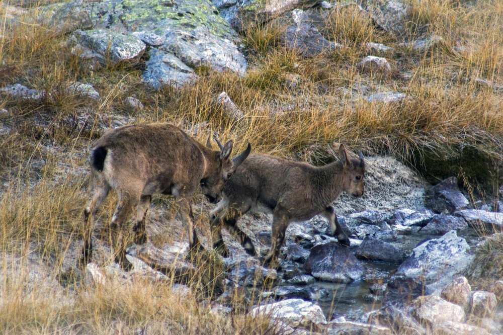 Photograph by Елена