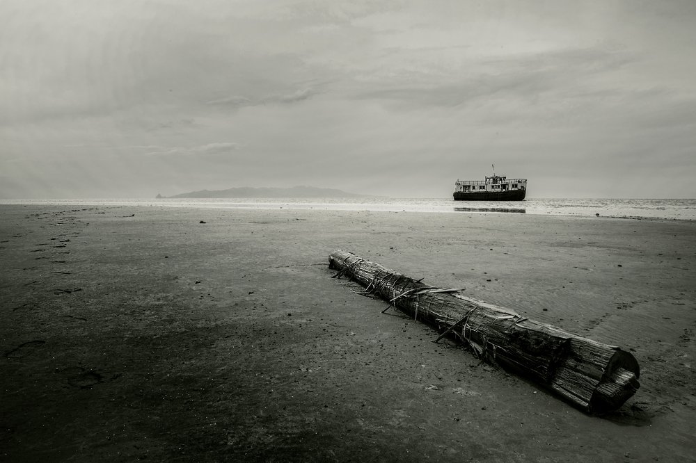 new life for this lake