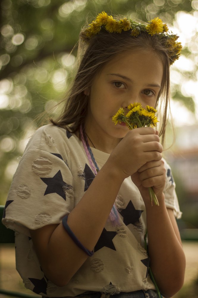 Одуванчики