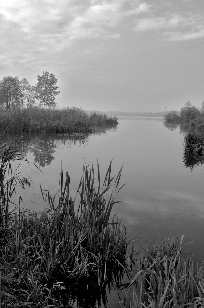 Утро на реке