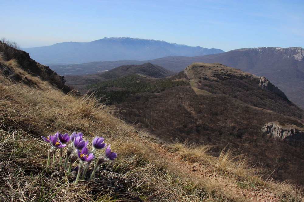 На Северной Демерджи