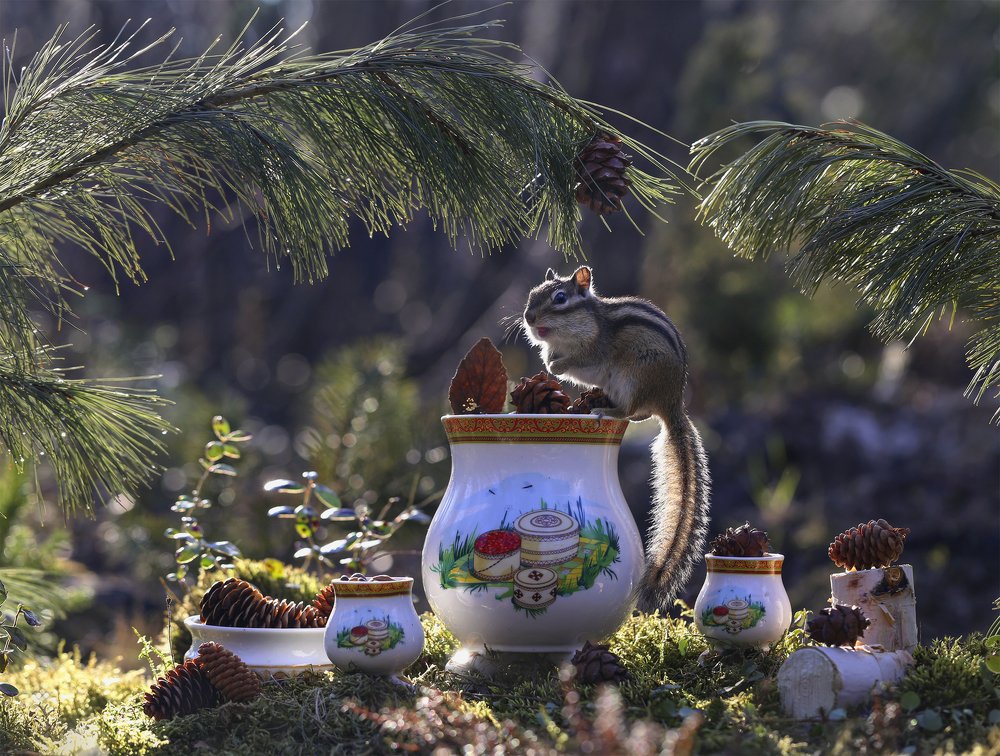 Ореховый рай))