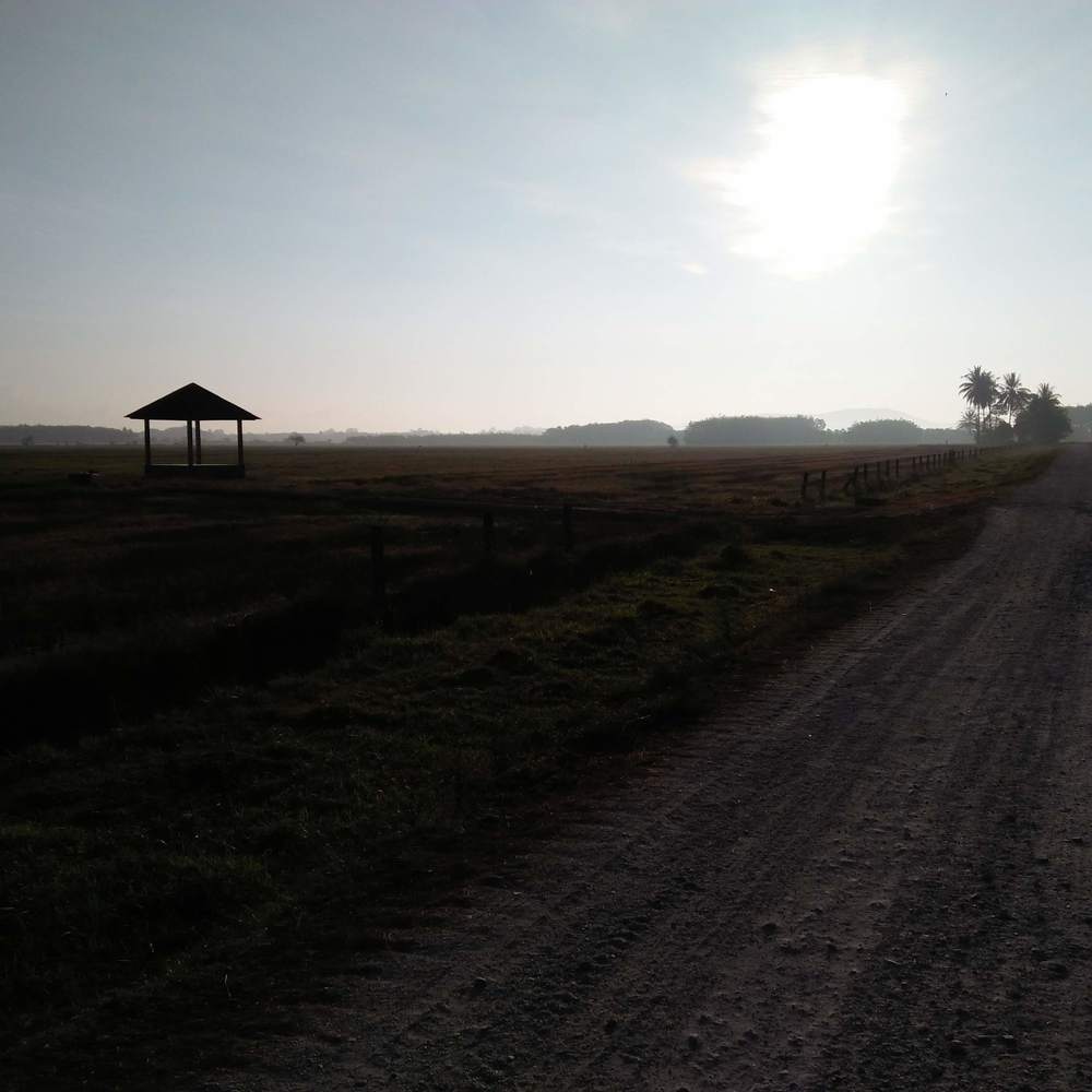 Sun and shadow