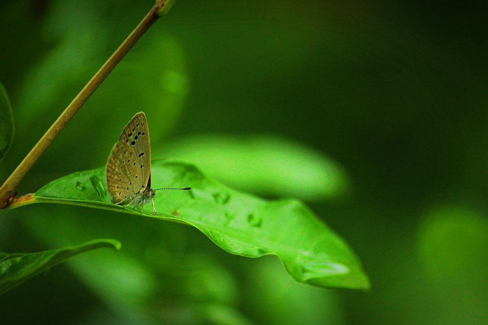 Photograph by Sourav Mahant