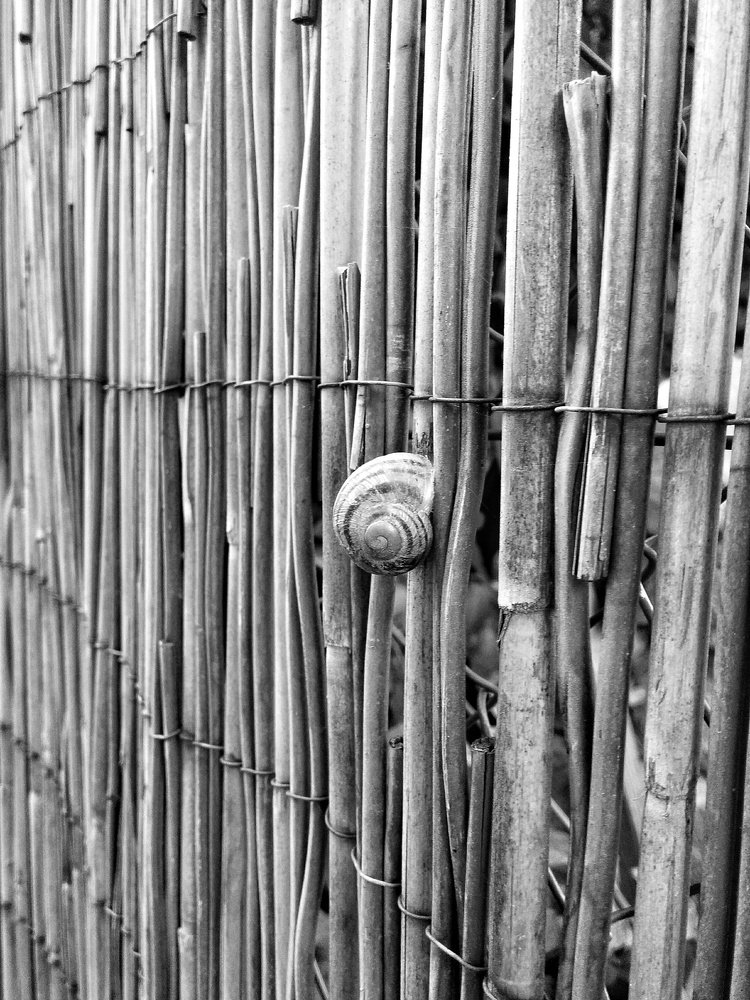 Photograph by Ирина Никулина