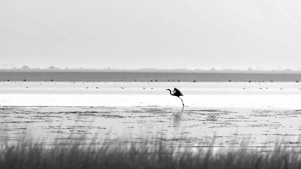 Лето улетает...