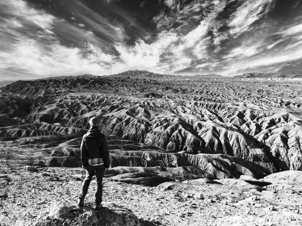 Beauty of the desert