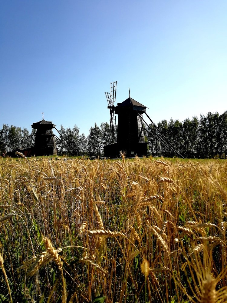 Почти Амстердам