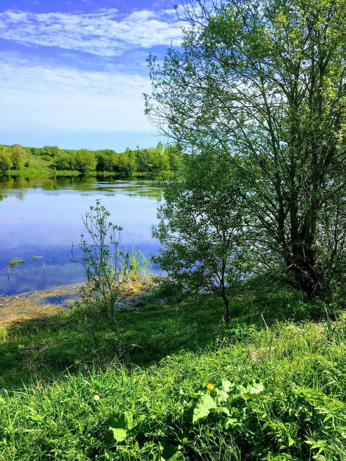 Photo #3243031