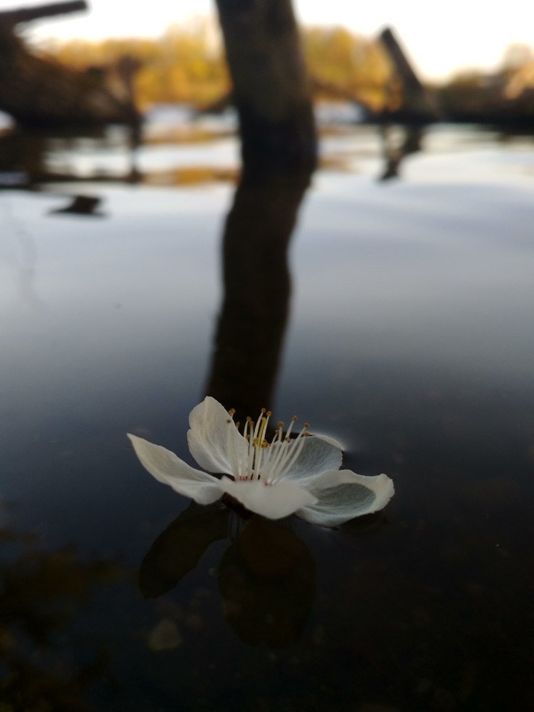 Photograph by Вадим Довбиш