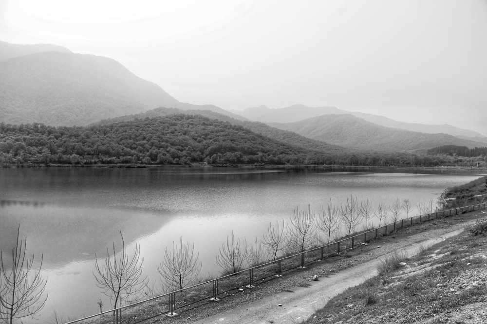 Photograph by Bahareh Birjandifar