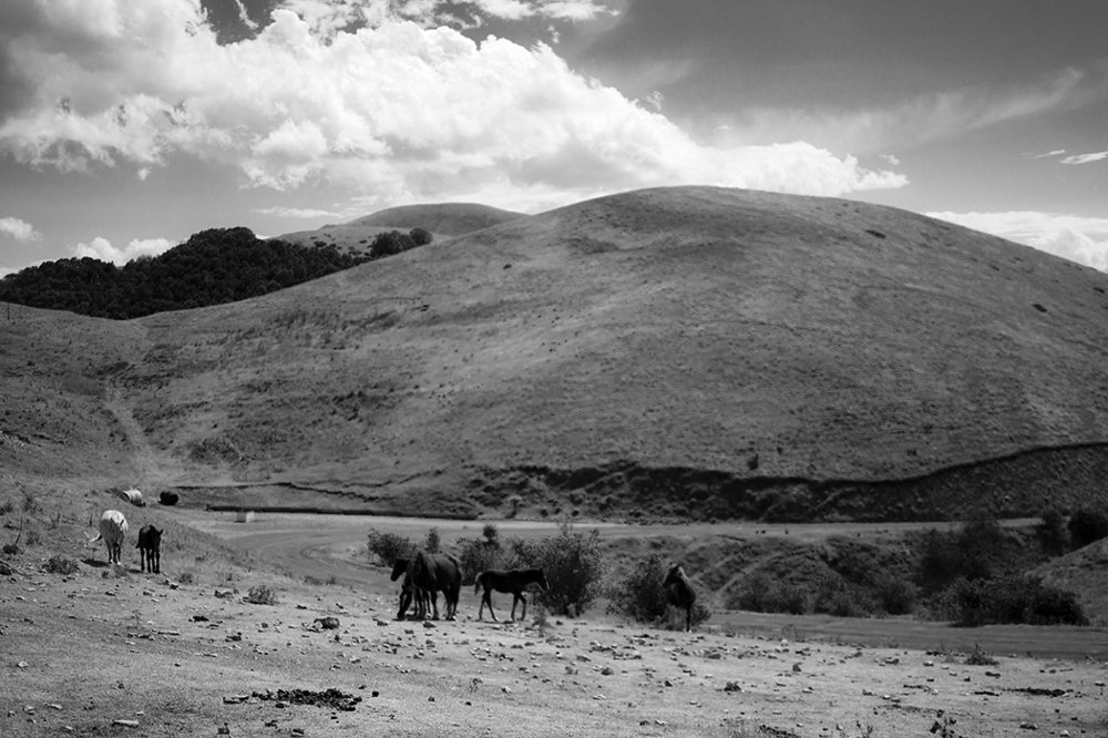 Photograph by Stefano Giacchi