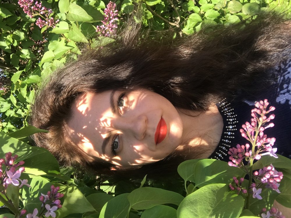 Цветёт сирень