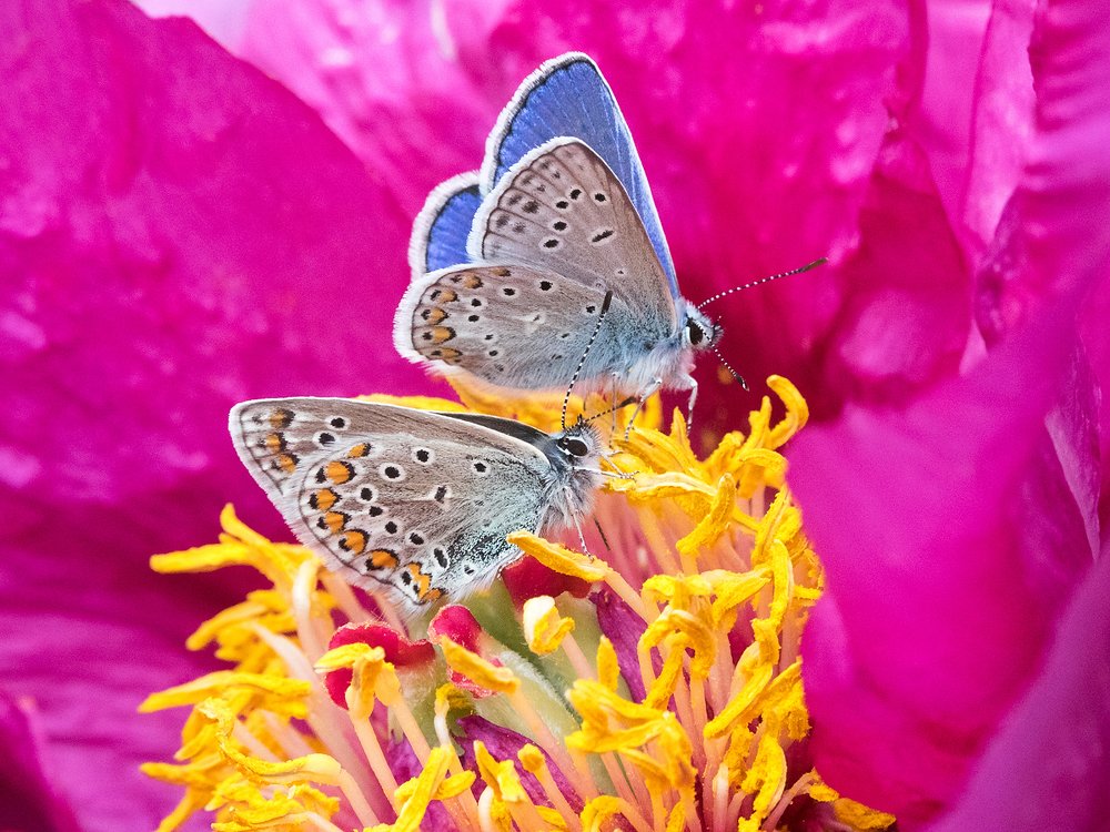 Photograph by 