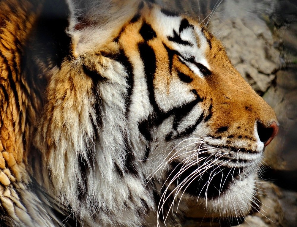 Photograph by Марина Раткун