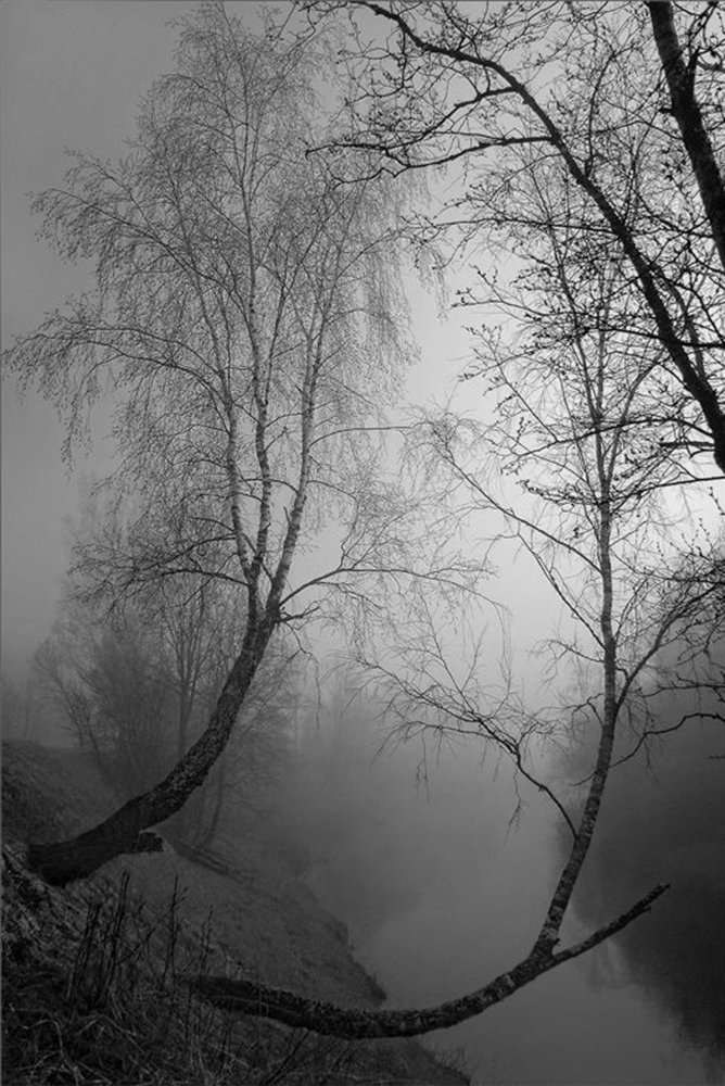 Утро туманное