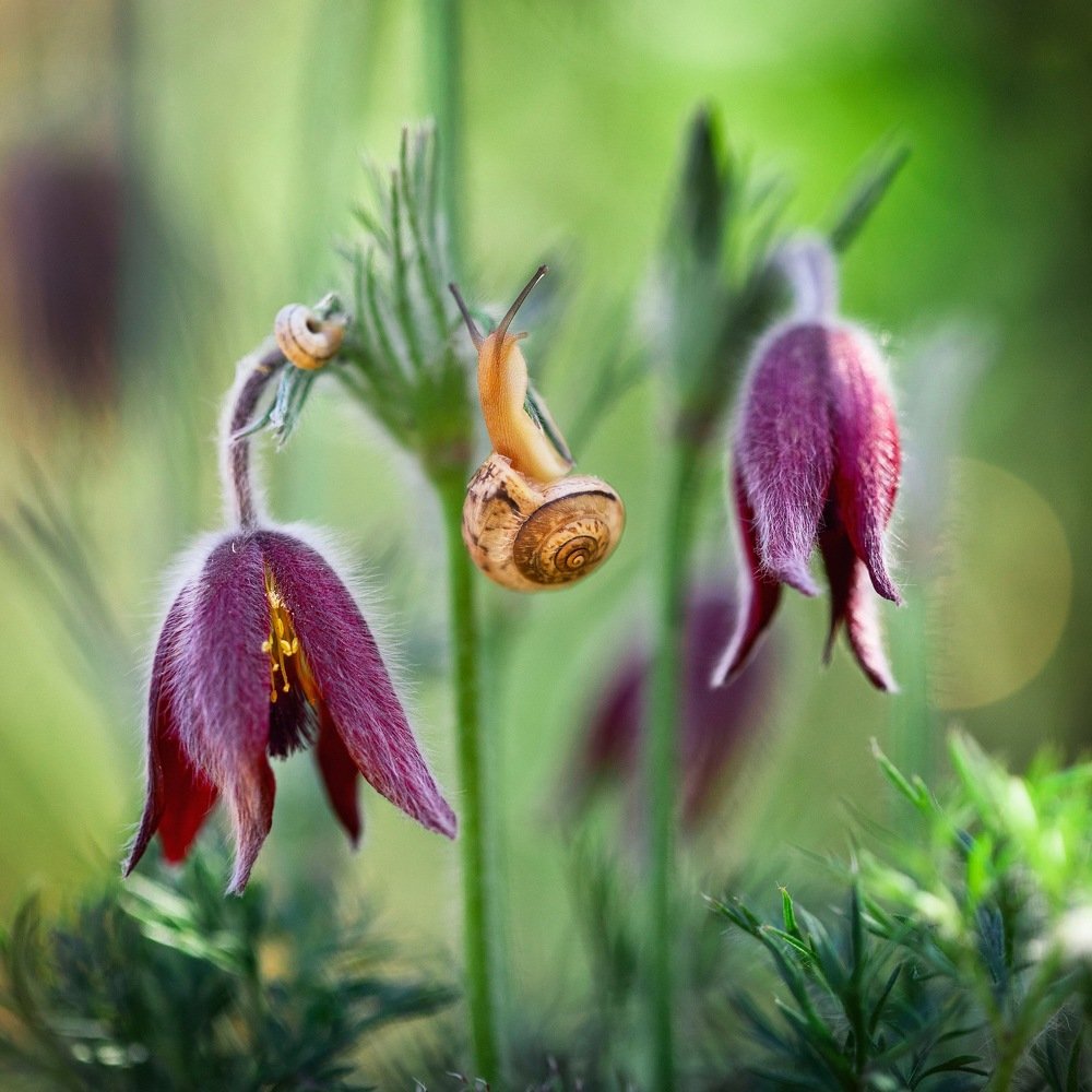 Фотография автора Dolli Pogrebnaya