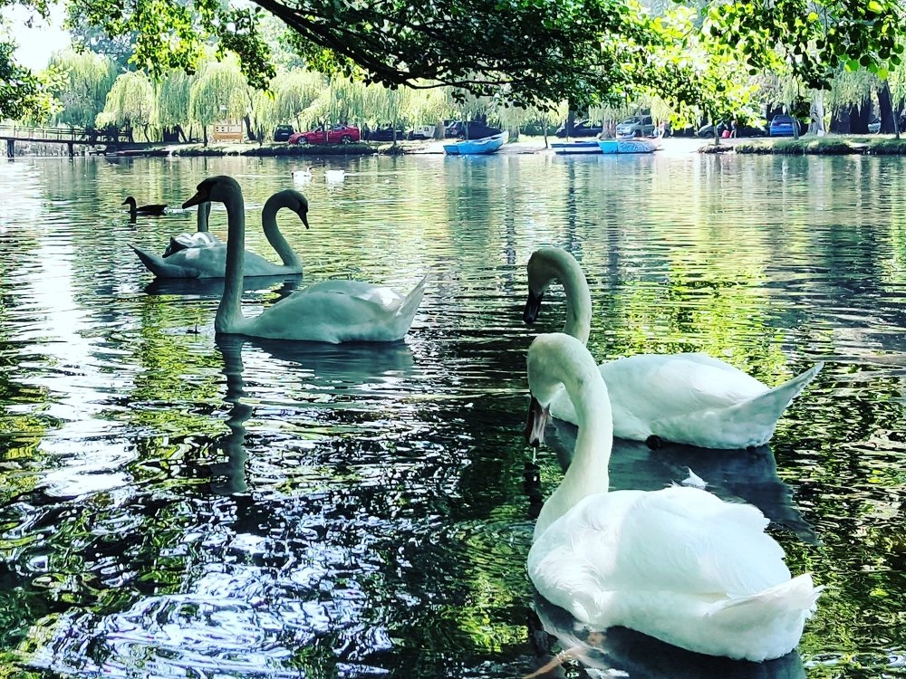 Photograph by Oltion Kola