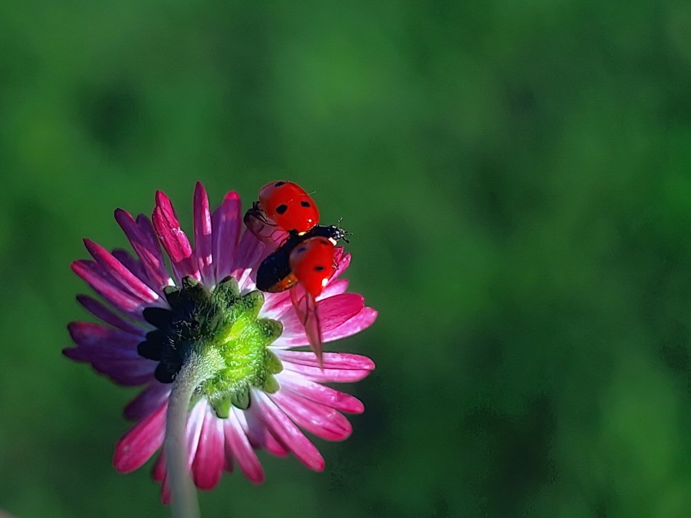 Photograph by 