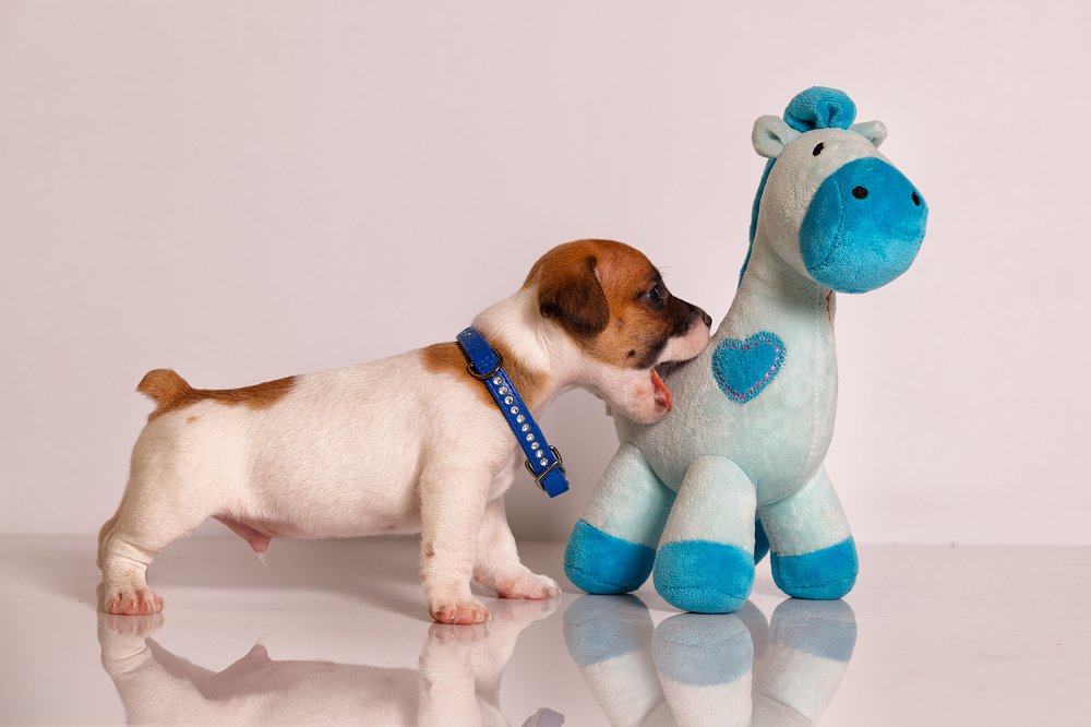 Photograph by Stranger Ksenia