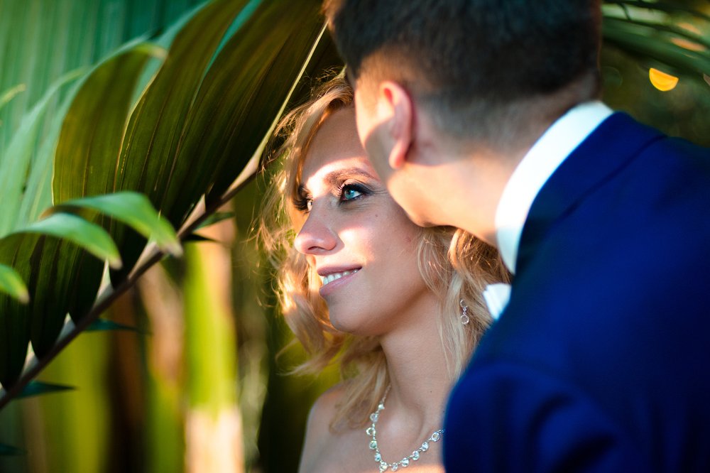 Жалюзи из листьев