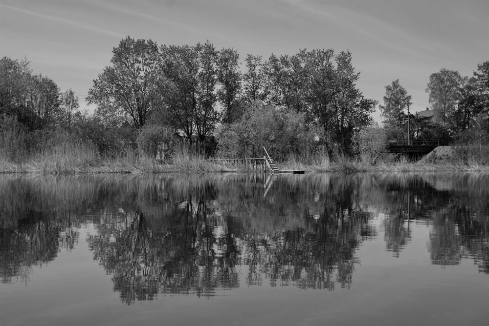 Родные берега