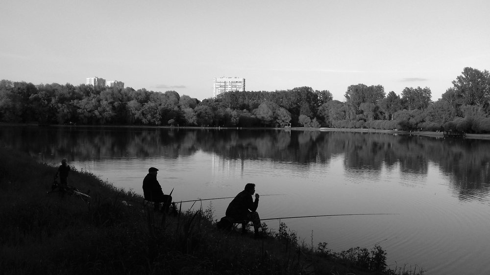 Photo #3243602